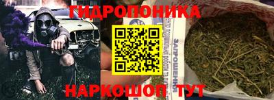гидра Пушкино
