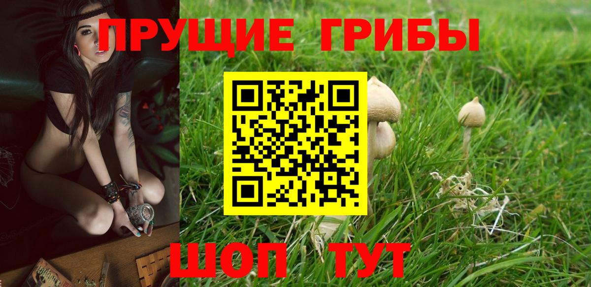 Галлюциногенные грибы мухоморы  Галлюциногенные грибы мухоморы  Вход с VPN  Торжок 