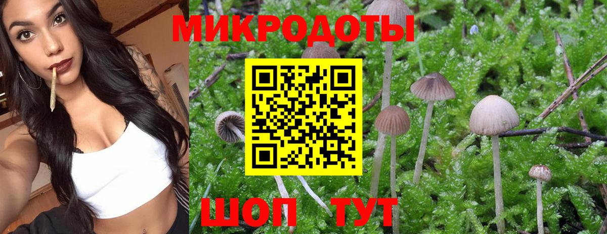 Псилоцибиновые грибы MAGIC MUSHROOMS Торжок