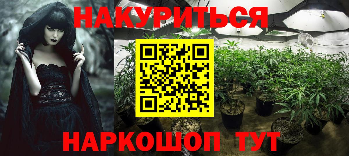 МАРИХУАНА сатива  Каннабис OG Kush  Торжок  Вход с VPN 